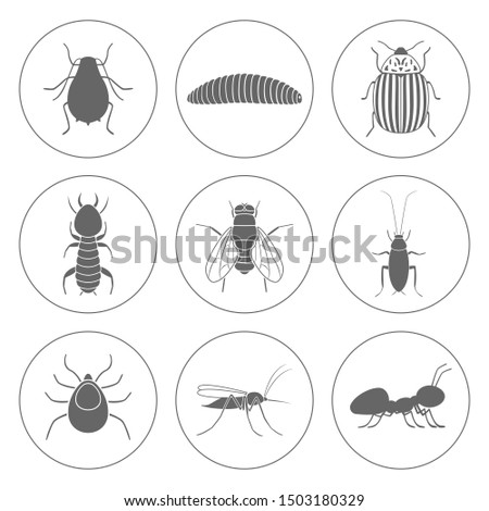 Insect symbols. Icon set. Vector.