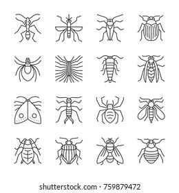 Insect thin line icon set. Beetle vector isolated linear symbol pack. Bugs outline sign without fill. Editable stroke. Simple pictogram entomology collection. Ant, mosquito, web, print, logo, tattoo 