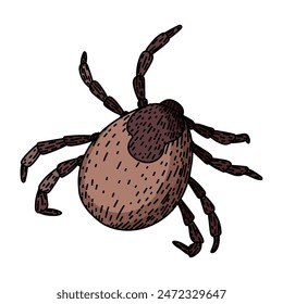 insect tick hand drawn. lyme mite, bite parasite, animal bed insect tick vector sketch. isolated color illustration