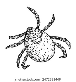 insect tick hand drawn. lyme mite, bite parasite, animal bed insect tick vector sketch. isolated black illustration