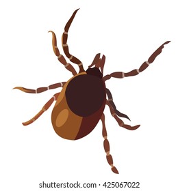 Insect Tick, Isolated Vector