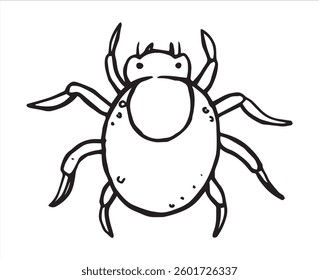 insect tick. vector illustration in sketch style. parasite
