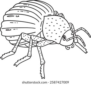 Insect Toktokkies Animal Isolated Coloring Page 