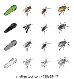 Insect, useful, harmful, and other web icon in cartoon style.Ecology, nature, bug, icons in set collection.