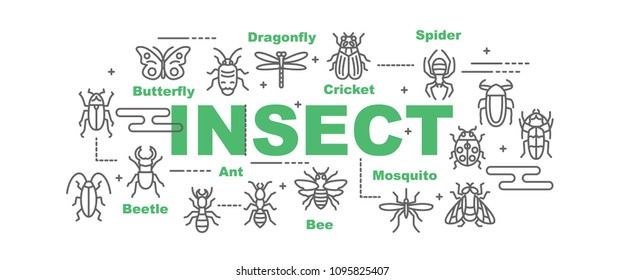 insect vector banner design concept, flat style with icons