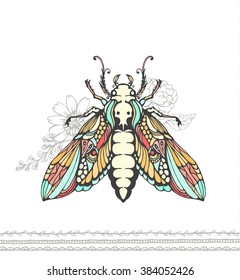Insect vector color illustration.  Dead head Butterfly
