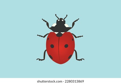 Insect vector design with background.