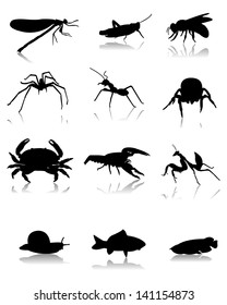 Insect vector diagram design