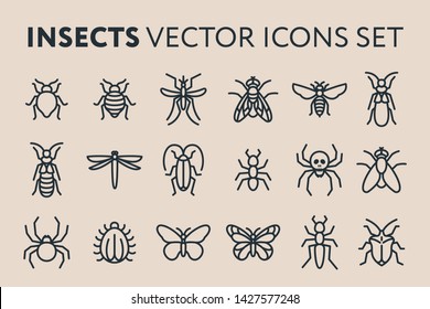Insect Vector Flat Line Icon Illustration Set. Bed Bug, Fly, Dragonfly, Ant, Roach, Cockroach, Mosquito, Termite, Spider, Butterfly, Bee, Wasp.