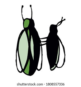 insect vector green fly nature animals