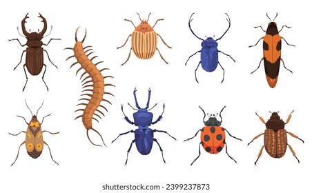 Insect vector icons flat set. Spring and summer insects. Bug species and exotic beetles icons collection