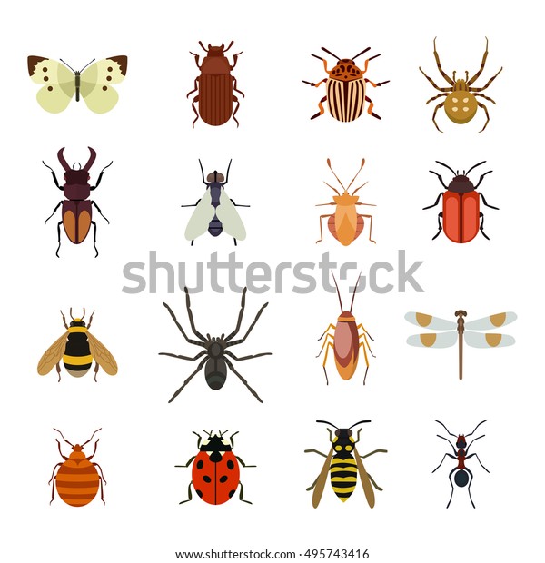 Insect\
vector icons flat set isolated on white background. Bug, ant,\
butterfly, spider and other small forest\
animals