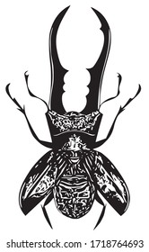 Insect vector illustration. Black beetle with scissor legs.
