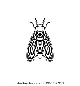  insect vector illustration with concept