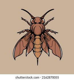 insect vector illustration made for branding needs and so on