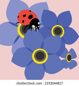 insect vector lady bug pattern and background