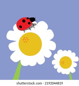 insect vector lady bug pattern and background