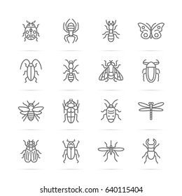 insect vector line icons, minimal pictogram design, editable stroke for any resolution