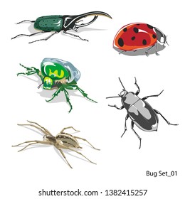 Insect vector set, lady bug, bee, fly, spider, etc, isolated on white background for book illustration