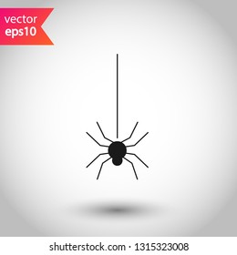 Insect vector sign. Spider vector icon. Illustration of vector spider icon. EPS 10