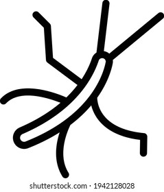 insect vector thin line icon