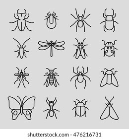 Insect vector thin line icons set. Cockroach and mosquito, spider and butterfly illustration