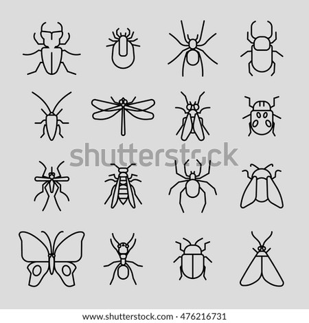Similar – Image, Stock Photo wasp Summer Animal Bee