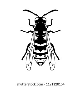 Insect wasp, black wasp silhouette. A stinging insect, an insect pest. Flat design. Vector