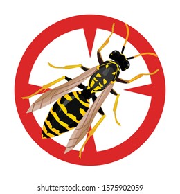 Insect wasp vector icon.Cartoon vector icon isolated on white background insect wasp .