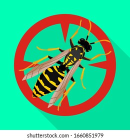 Insect wasp vector icon.Flat vector icon isolated on white background insect wasp .