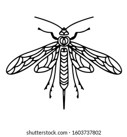 Insect wasp vector illustration. A stinging insect. Coloring pages.