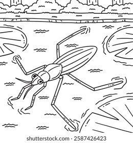 Insect Water Striders Animal Coloring Page 