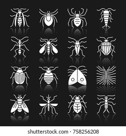 Insect white silhouette with reflection icon set. Beetle, bugs monochrome flat design symbol collection. Entomology simple graphic pictogram pack. Web, logo, print, tattoo concept. Vector illustration