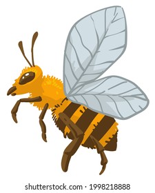 Insect with wings and antennae, isolated bumblebee wildlife and nature. Beekeeping and agriculture, icon of flying beetle with yellow and black striped body. Vector in flat style illustration