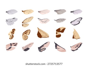 Insect Wings Illustrtation Icon Set