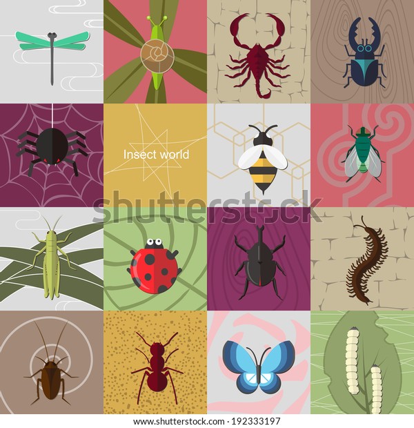Insect World Collection Fifteen Insects Including: vetor stock (livre ...
