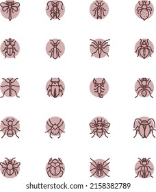 Insect world, illustration, vector on a white background.