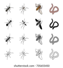 Insect, worms, earthen, and other web icon in cartoon style.Nature, ecology, bug, icons in set collection.
