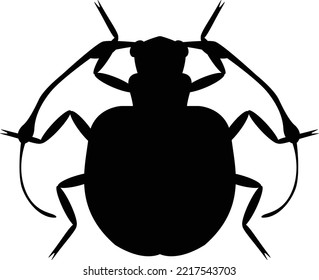 Insecta bug sihouette vector illustration