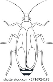 Insecto insecto Silueta Insecto Insecto Animal aislado para colorear Página
