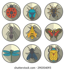 insectarium volume 1
