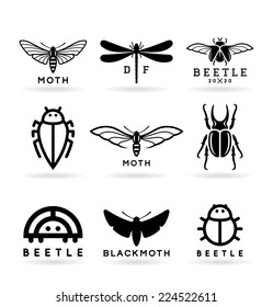 Insects (1)