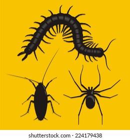 Insects