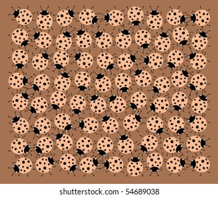 insects