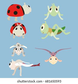 Insects
