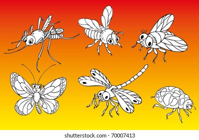 insects