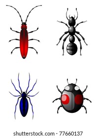 insects