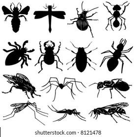 Insects