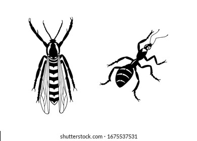 insects ant and hornet. vector stock illustration eps10. hand drawing