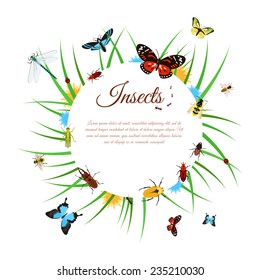 Insects background with butterflies dragonflies and bees in grass vector illustration